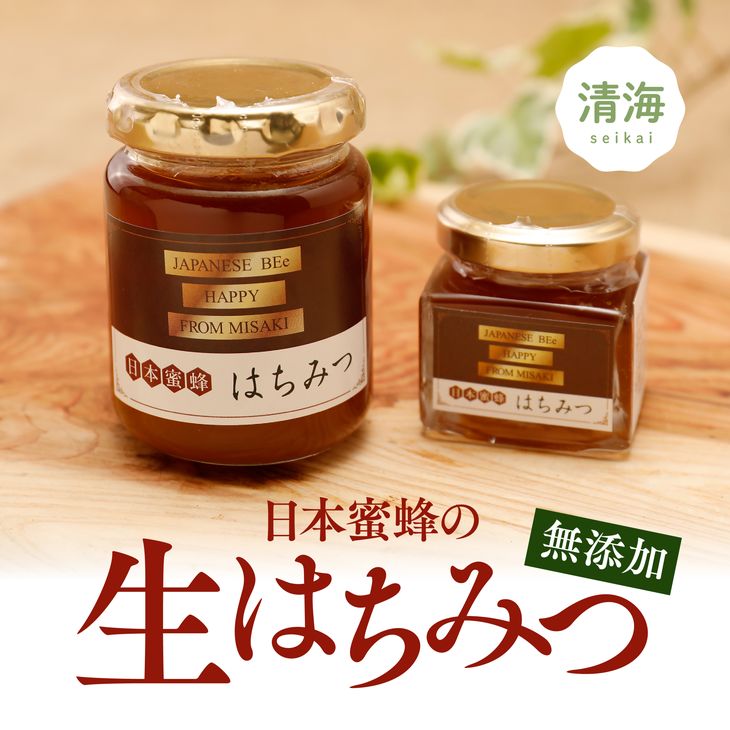 日本蜜蜂はちみつセット A はちみつ × 50g 大 1本 160g 小