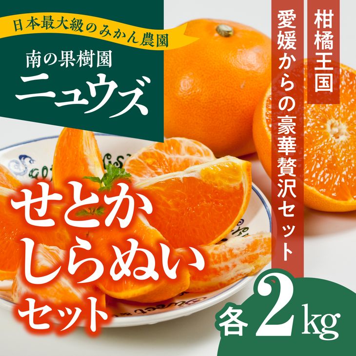 2023年12月】ふるさと納税でもらえるみかんの還元率・コスパランキング