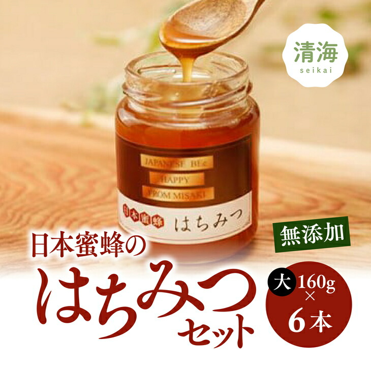 日本蜜蜂 純粋生蜂蜜「非加熱、無添加、無調整」2年物 600g 2本 1200g