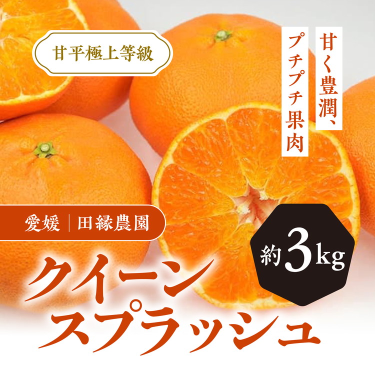 【ふるさと納税】【先行予約】【数量限定】田縁農園のクイーンスプラッシュ3kg ｜ 柑橘 みかん ミカン フルーツ 果物 愛媛 ※離島への配送不可 ※2025年2月上旬～2月下旬頃に順次発送予定画像