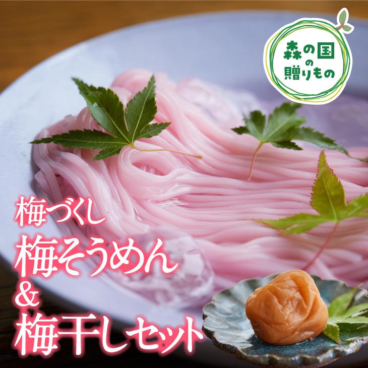【ふるさと納税】【松野町産 南高梅使用】香りひろがる梅そうめん・梅干しセット ◆ ｜ 梅干し 梅 うめ 南高梅 しそ漬 肉厚 手延べ 五色 そうめん 文部科学大臣賞 受賞 マツノイズムプロジェクト マツノイズム 愛媛県 松野町 高校生 特産品 ふるさと納税 お取り寄せ