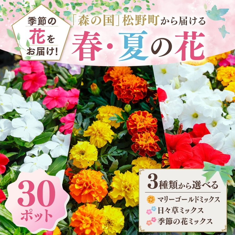 【ふるさと納税】【春・夏】【選べる3種】森の国から届ける花苗ポット（30ポット） | 花 花やしき 苗 回廊 マリーゴールド 日々草 時期の花 ※2026年3月～送りとどける