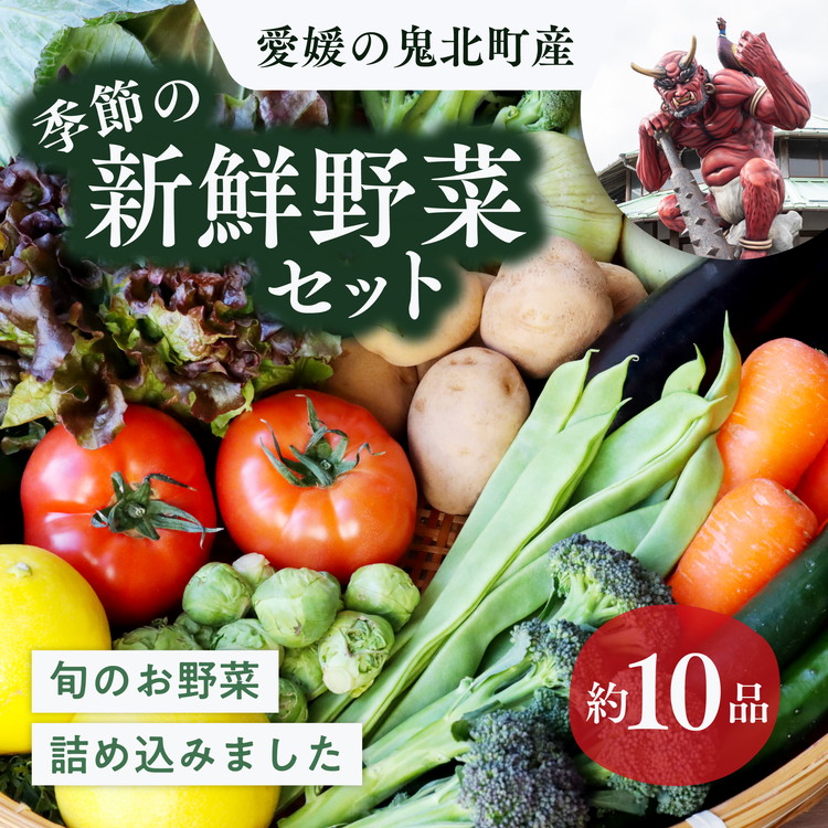 【ふるさと納税】鬼北の大地が育んだ新鮮野菜！季節の新鮮野菜詰め合わせ　＜野菜 やさい 詰め合わせ 新鮮 旬 季節 愛媛県 鬼北町＞ 10,500円