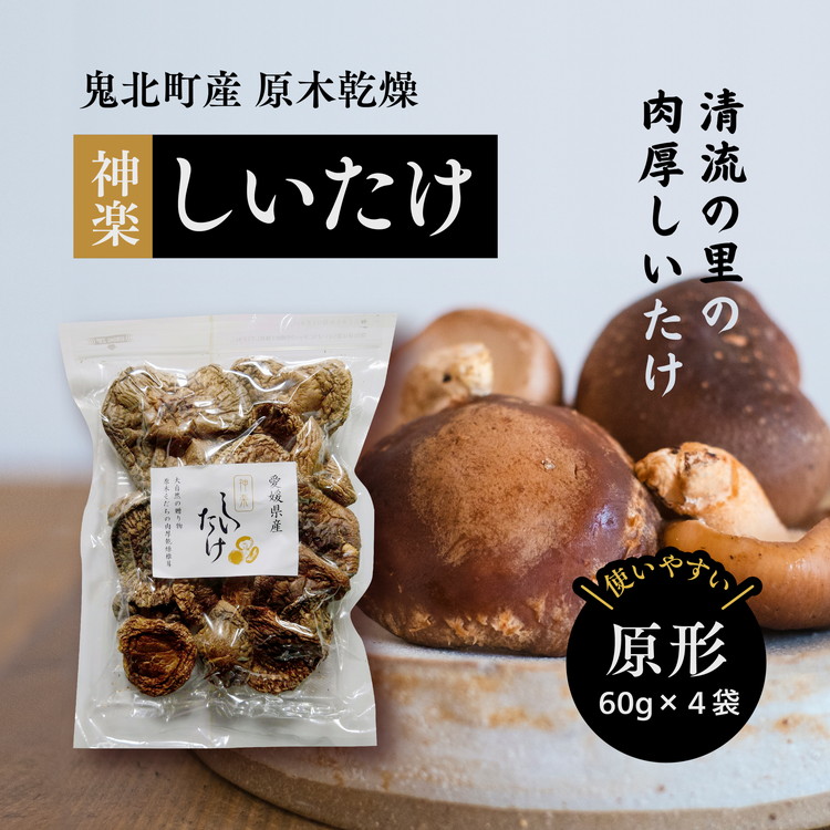 【ふるさと納税】【神楽しいたけ】原木乾燥しいたけ（原形 60gx4） ｜ きのこ しいたけ 原木 乾燥しいたけ 肉厚 特産品 愛媛県 鬼北町