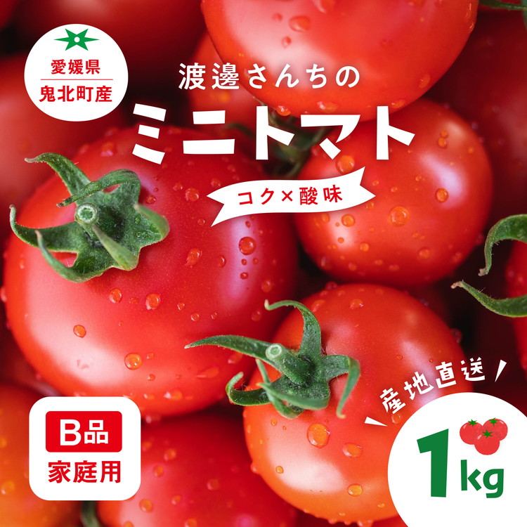 【ふるさと納税】【先行予約】【B品】渡邊さんちのミニトマト 約1kg(6パック)  ｜ 愛媛県 鬼北町 株式会社North River マリネ 湯むき パスタ スープ おつまみ 10月 11月 1キロ ベジタブル 果物 トマト　※離島への配送不可　※2025年7月上旬～11月下旬頃に順次発送予定