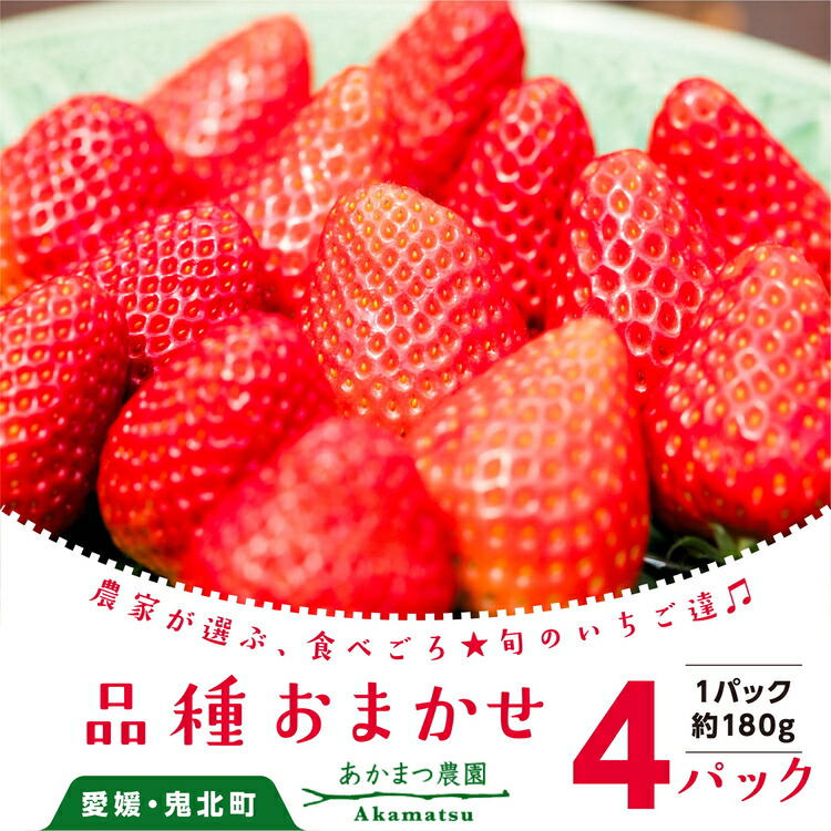 【ふるさと納税】【2026年春収穫分】【先行受付】【品種お任せ】 いちご4パック ｜ レッドパール 紅い雫 紅ほっぺ かおり野 イチゴ 苺 フルーツ あかまつ農園 ※2026年2月中旬～3月中旬頃に順次発送予定