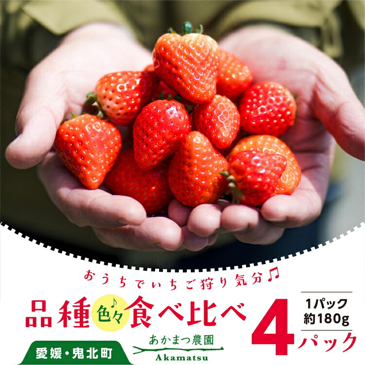 【ふるさと納税】【2026年春収穫分】【先行受付】【食べ比べ】 いちご4パック ｜ レッドパール 紅い雫 紅ほっぺ かおり野 イチゴ 苺 フルーツ あかまつ農園 ※2026年2月中旬～3月中旬頃に順次発送予定