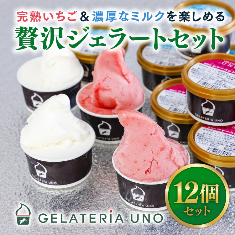 【ふるさと納税】愛媛産贅沢いちご&夕しぼりミルク使用 本格ジェラート12個セット | 鬼北町 あかまつ農園 レッドパール いちご 夕しぼり らくれん ミルク 牛乳 人気 イタリアン ジェラート ジェラテリアUNO 手作り スイーツ ギフト|愛媛県鬼北町