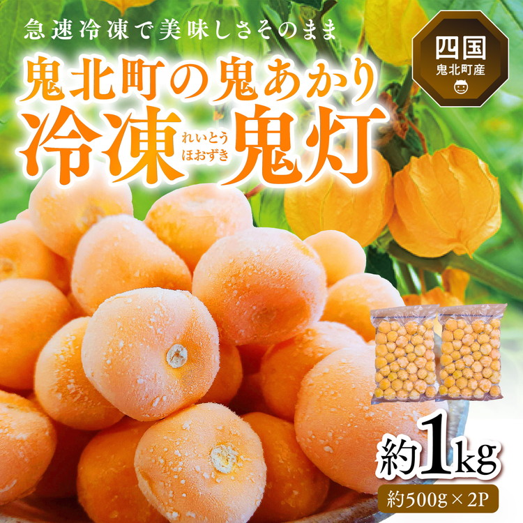 【ふるさと納税】冷凍鬼あかり（ほおずき）500g×2パック ｜ 鬼灯 ホウズキ 特産品 冷凍 フルーツ ジャム 愛媛県 鬼北町