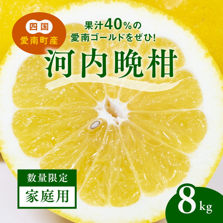 【ふるさと納税】【先行予約】【家庭用】河内晩柑8kg ｜ 河内晩柑 訳あり 正品 贈答 柑橘 みかん 愛南ゴールド サイズミックス 規格外 ※離島への配送不可 ※2026年5月上旬～6月下旬頃に順次発送予定