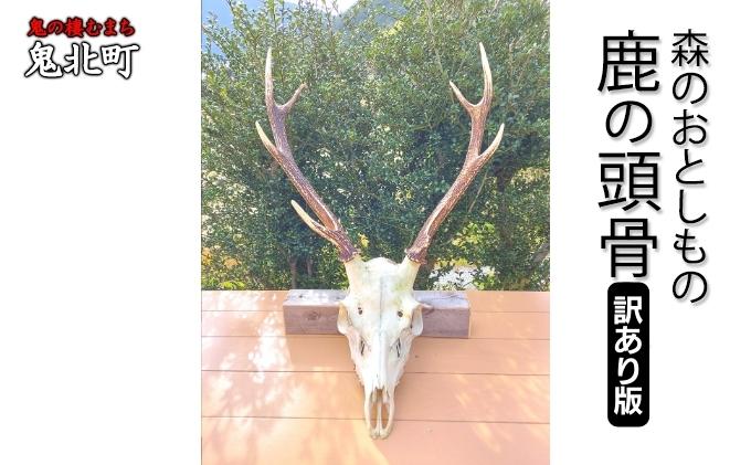 鹿の頭骨置物 全長約77cm 鹿の頭骨置物 全長約77cm 鹿の頭骨 オブジェ 鹿の角 幅約