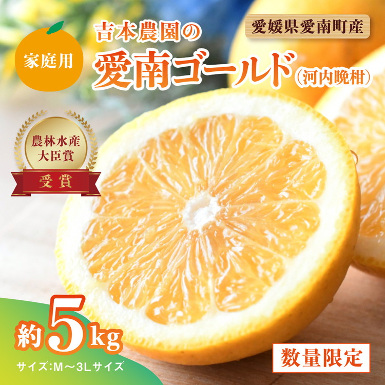 【ふるさと納税】【先行予約】吉本農園の愛南ゴールド（河内晩柑）家庭用約5kg　＜柑橘 希少 果物 国産 フルーツ みかん 蜜柑 家庭用 和製 グレープフルーツ ブランド 果実 ビタミン 愛媛県 鬼北町 ＞ ※2025年4月上旬～8月上旬頃に順次発送予定