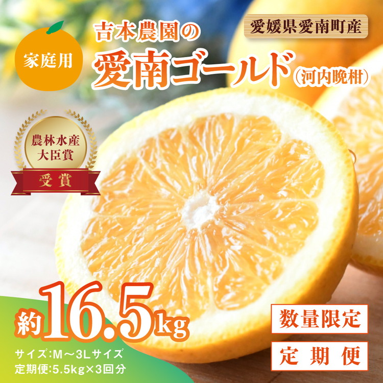【ふるさと納税】【先行予約】河内晩柑３回お届け定期便／家庭用愛南ゴールド 5.5kg×3回＜柑橘 希少 果物 国産 フルーツ みかん 蜜柑 定期便 家庭用 和製 グレープフルーツ ブランド 果実 ビタミン 愛媛県 鬼北町 ＞ ※2025年4月上旬～8月上旬頃に順次発送予定