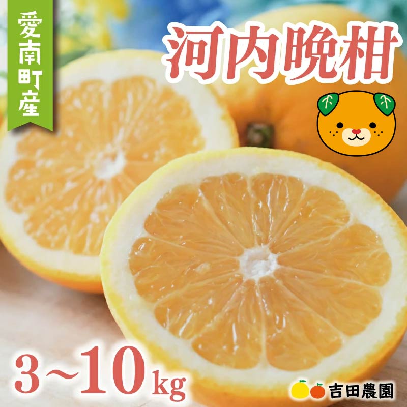 河内晩柑3kgの返礼品画像