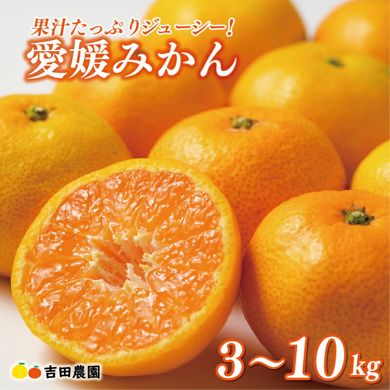 楽天市場】【ふるさと納税】JAにしうわの季節の柑橘(みつる共選「蜜る