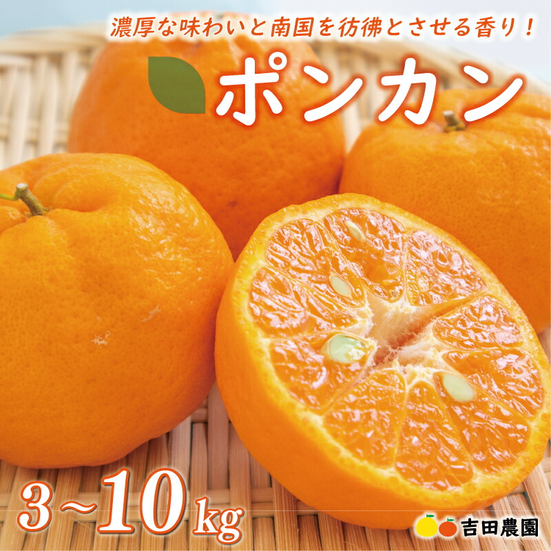 楽天市場】【ふるさと納税】 【高評価☆4.64】 数量限定 順次発送