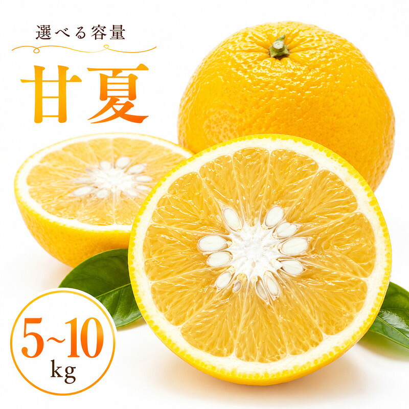 【ふるさと納税】 【先行予約】 甘夏 5kg 10kg 正品 訳あり 小玉 ジュース 用 7000円 10000円 みかん mikan 蜜柑 ミカン あまなつ 産地直送 国産 農家直送 期間限定 数量限定 特産品 ゼリー アイス 人気 甘い フルーツ 果物 柑橘 第一マルエム 愛南町 愛媛県｜愛媛県愛南町