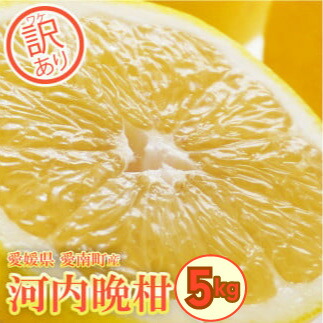 【ふるさと納税】 訳あり 河内晩柑 約5kg 晩柑 柑橘 和製 グレープフルーツ 国産 愛媛 みかん 果物 果実 フルーツ 特産品 フルーツ アイランド マルエム 直販 おいしい ビタミン 送料無料 傷 規格外 不揃い 愛媛県 愛南町 お届け：2025年6月1日～8月上旬 (なくなり次第終了)