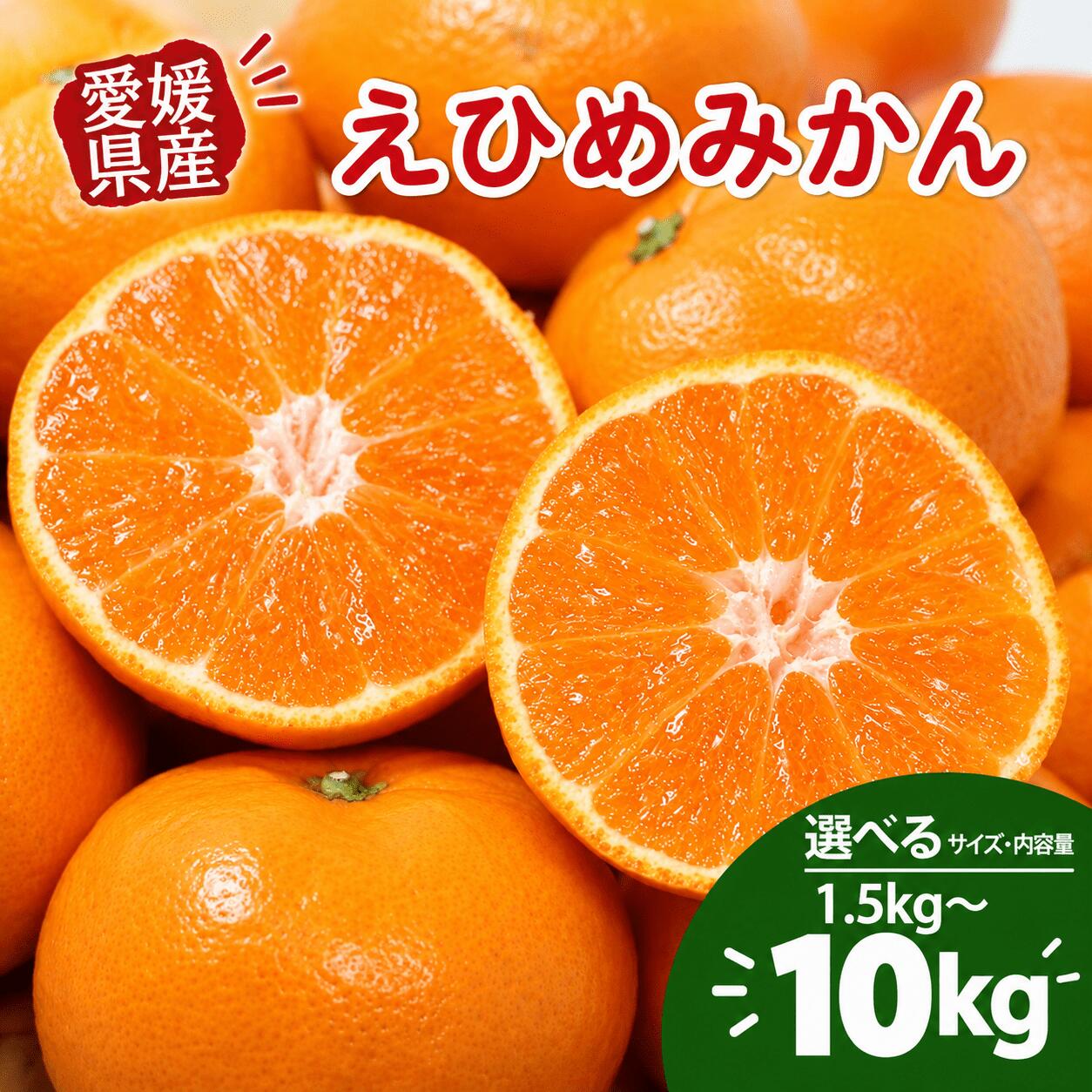 みかんの返礼品画像