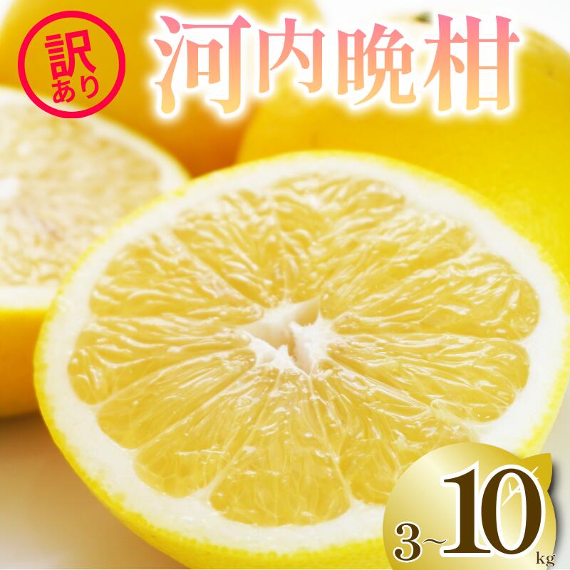 【ふるさと納税】 選べる 容量 訳あり 河内晩柑 3kg 5kg 10kg M から 3L サイズミックス 樹齢 20年 以上 古木 愛南ゴールド 和製 グレープフルーツ 家庭用 愛媛 みかん 果物 フルーツ デザート ジュース ゼリー 特産品 愛媛県 愛南町 清家ばんかんビレッジ｜愛媛県愛南町