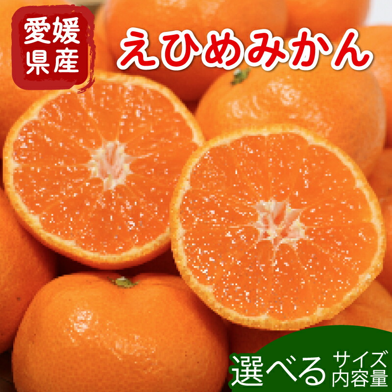 【ふるさと納税】 高評価 ★ 4.2 先行受付 愛媛みかん  選べる内容量 発送2025年11月以降 ふるさと納税 柑橘 みかん 果物 フルーツ 旬 ふるさと納税柑橘 ふるさと納税みかん サイズ不揃い 柑橘 フルーツ ふるさと納税訳あり 傷 不揃い 愛媛県 愛南町 清家ばんかんビレッジ