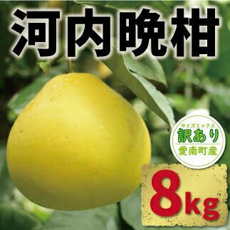 【ふるさと納税】 先行予約  訳あり 河内晩柑 8kg 9000円 みかん かわちばんかん 愛南ゴールド あいなん ゴールド 美生柑 文旦 グレープフルーツ 和製 産地直送 農家直送 国産 特産品 期間限定 数量限定 ゼリー ジュース 甘い フルーツ 果物 柑橘 蜜柑 規格外 愛媛県 愛南町