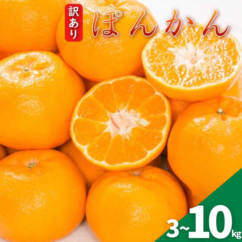 楽天市場】【ふるさと納税】 早香 8kg 10000円 みかん mikan 蜜柑