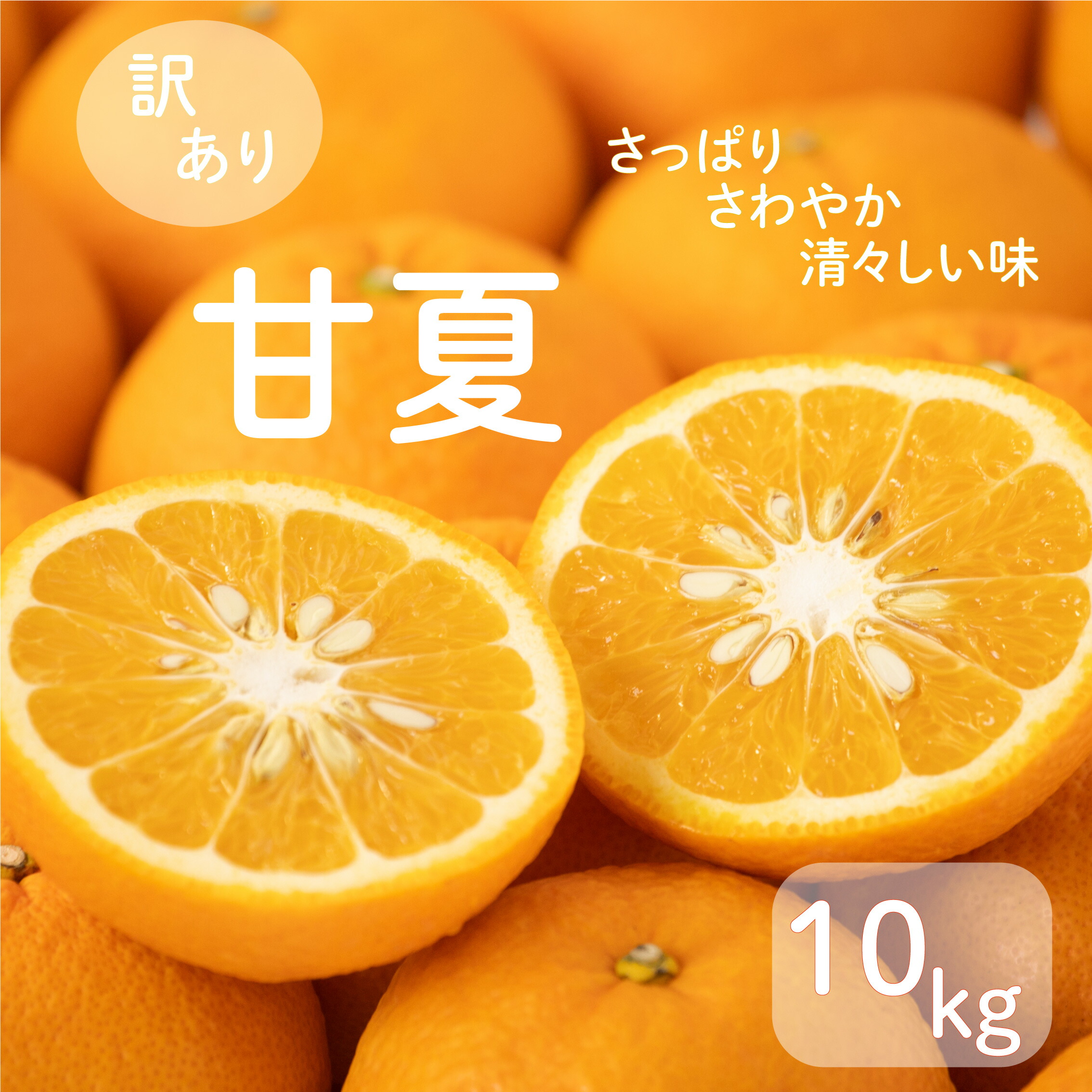 楽天市場】【ふるさと納税】紅甘夏(約10kg) 国産 鹿児島県 阿久根市