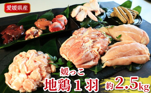 【ふるさと納税】 地鶏 愛媛 媛っこ地鶏 1羽セット 約2.5kg 鶏肉 鳥肉 肉 チキン むね肉 もも肉 ささみ レバー せせり ハツ 砂肝 焼肉 焼き鳥 BBQ 冷凍 国産 高級 タンパク質 低脂肪 糖質 唐揚げ チキン南蛮 サラダチキン スープ ダイエット 愛南町 ローカルスタンダード｜愛媛県愛南町 22,720円