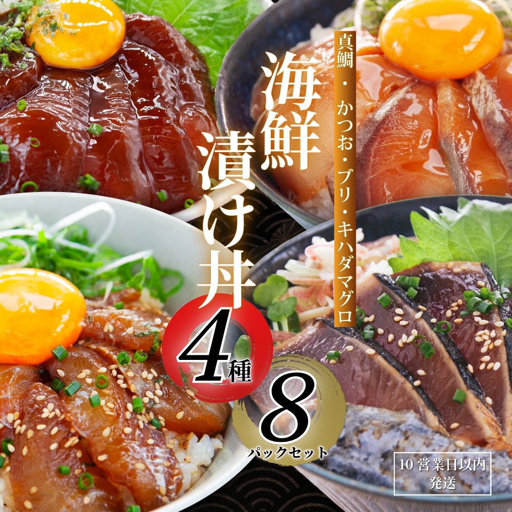 【ふるさと納税】 漬け丼セット 計8パック ( 4種 &times; 2 パック ) 真鯛 カツオ ブリ キハダ マグロ 10000円 食べ比べ 漬け丼 づけ丼 海鮮丼 鯛 たい かつお 鰹 マグロ 冷凍 人気 魚介 海鮮 お手軽 加工品 簡単 流水解凍 小分け 新鮮 養殖 国産 南予ビージョイ 愛南町 愛媛県｜愛媛県愛南町