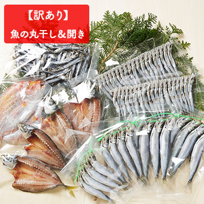 楽天市場 ふるさと納税 訳あり 魚の丸干し 開きセット 3kg 魚貝類 干物 アジ 愛媛県愛南町