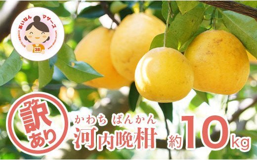 ふるさと納税 訳あり あいなんマザーズの河内晩柑10kg 果物類 柑橘類 フルーツ お届け 4月の輪中旬 8月上旬 愛媛県愛南村里 Cmsmontera Com