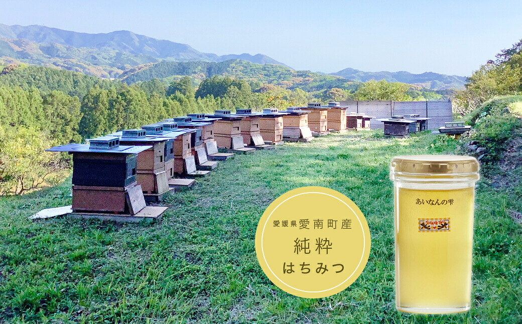 【ふるさと納税】 国産 天然 里山 はちみつ 蜂蜜 250g あいなんの雫 純粋 朝しぼり 濃厚 熟成 贈答 ギフト 瓶 愛南町産 高品質 発送時期:2026年5月~(なくなり次第終了)|愛媛県愛南町