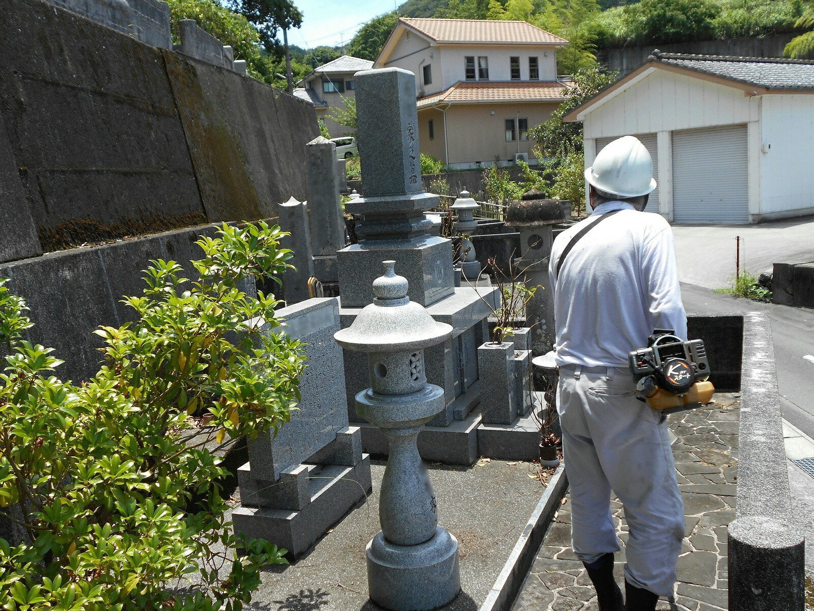 楽天市場】【ふるさと納税】 藻塩 大福 15個 入 梶原製菓 生クリーム あんこ 餅 和菓子 菓子 スイーツ 甘味 愛媛 県産 美味しい 産地 直送  産直 お取り寄せ お土産 贈答 贈り物 送料無料 : 愛媛県愛南町