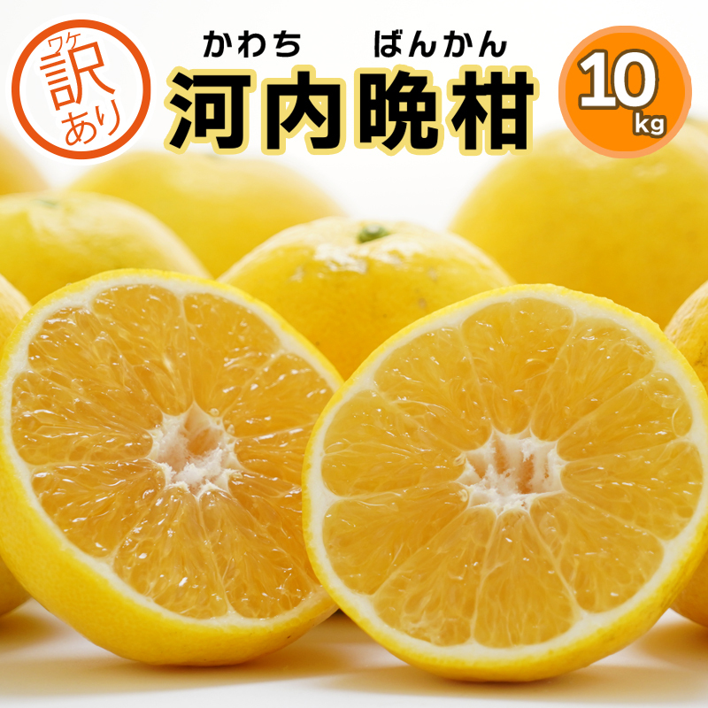 ふるさと納税 訳あり みかん職人の河内晩柑 10kg 小物などお買い得な福袋 晩柑 かわちばんかん 送料無料 ご家庭用 和製 グレープフルーツ 愛媛県産 果物 農産物 愛南町 特産品 デザート 希少 おいしい 柑橘 フルーツ 愛媛みかん みかん 日本一 お取り寄せ