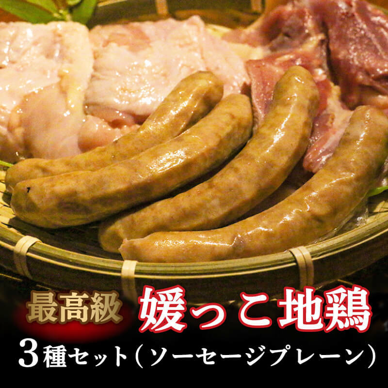 数量限定 最高級ブランド地鶏 媛っこ地鶏 セット3種 ソーセージ プレーン 再販ご予約限定送料無料