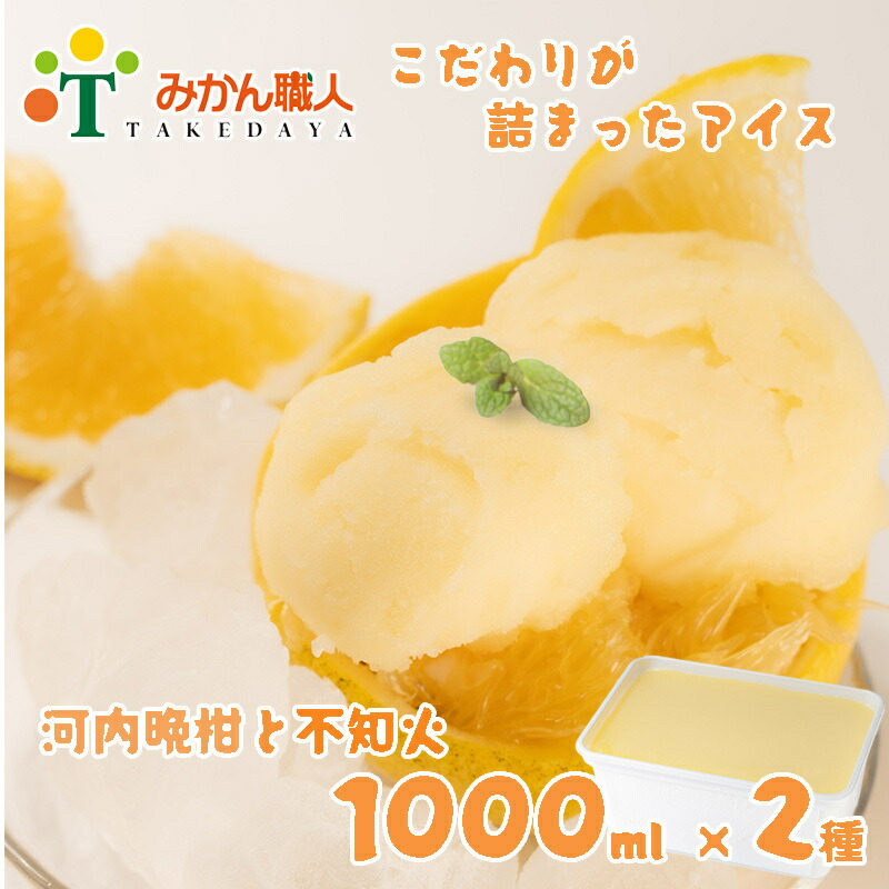 【ふるさと納税】 アイス 柑橘 不知火 しらぬい 河内晩柑 1000ml 2種 ギフト 詰め合わせ 有名 みかん職人 武田屋 お取り寄せ 贈り物 贈答品 氷菓 シャーベット ソルベ 美味しい フルーツ 果汁 ご当地 内祝い
