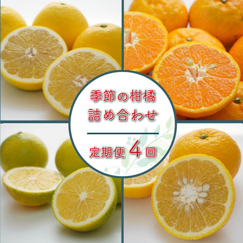 【ふるさと納税】 定期便 4回 季節 お楽しみ 柑橘 詰め合わせ 第一マルエム 減農薬 はるか あまか ポンカン 伊予柑 ネーブル 文旦 新女王 黄金柑 清見 甘夏 御荘ゴールド 河内晩柑 タロッコ レモネード 愛媛県 愛南町｜愛媛県愛南町