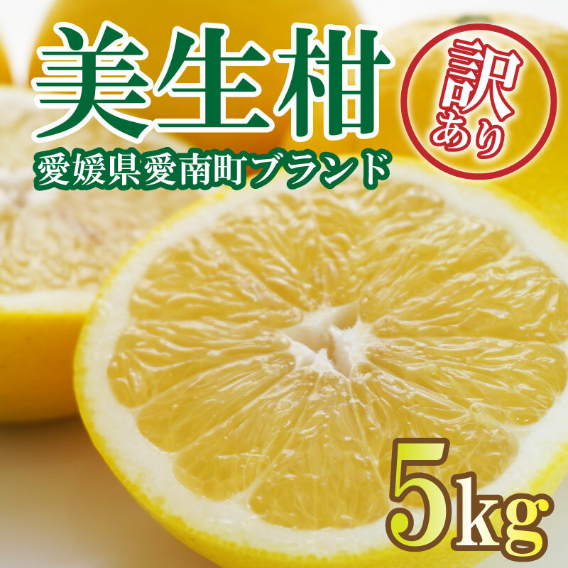 日本最級 愛媛県産 みかん 家庭用 河内晩柑 約8kg 柑橘 ミカン 果物 uaid.nl
