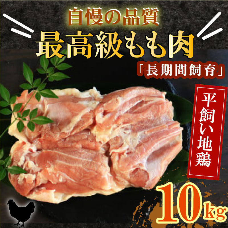 【ふるさと納税】 地鶏 愛媛 媛っこ地鶏 もも肉 約10kg 鶏肉 鳥肉 肉 チキン むね 焼肉 焼き鳥 BBQ 冷凍 国産 高級 タンパク質 低脂肪 糖質 唐揚げ チキン南蛮 サラダチキン スープ 出汁 愛南町 送料無料 ローカルスタンダード 66,000円