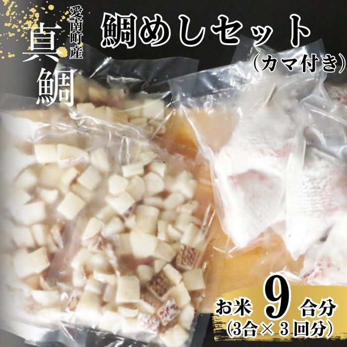 【ふるさと納税】 鯛めしセット （180ｇ×３パック） カマ付き まだい 鯛 冷凍 ダイスカット サイコロ 角切り 鯛めし 釜めし 10000円 1万円 おかず つまみ 入れるだけ  お正月 お祝い 年末 年始 クリスマス パーティ お食い初め パック 愛媛県 愛南サン・フィッシュ