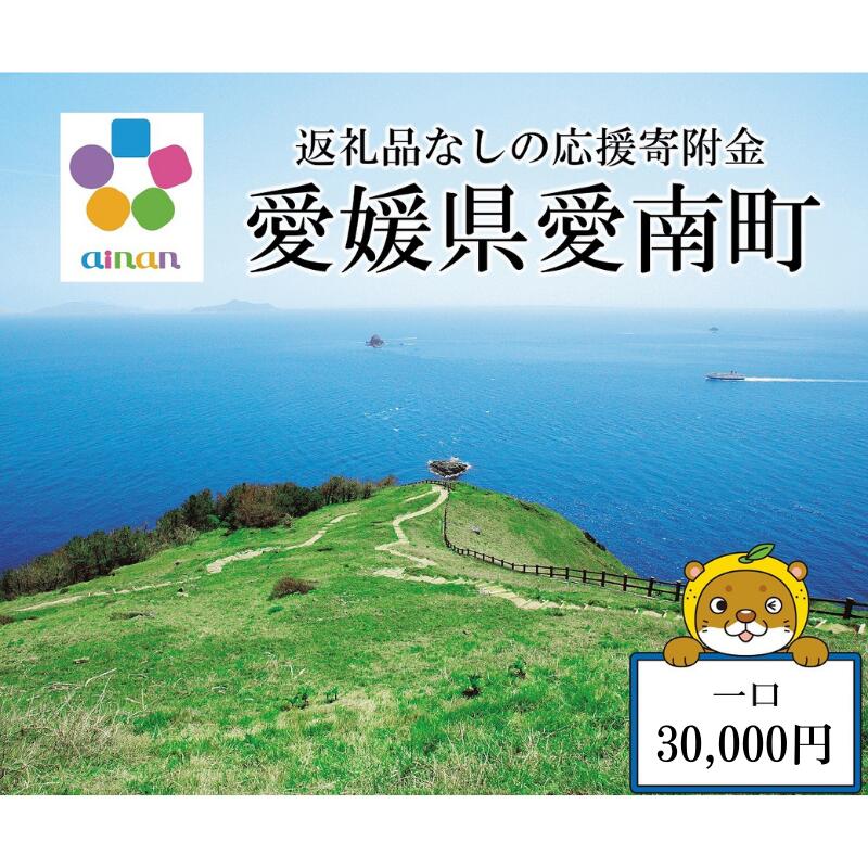 【ふるさと納税】 応援寄附金 （返礼品なし） 30,000円 ふるさと応援寄附金 返礼品なし 寄附のみ 寄附金 応援 地域支援 人気 ランキング おすすめ 愛媛 愛媛県 愛南 愛南町 【愛媛県愛南町】 22,200円