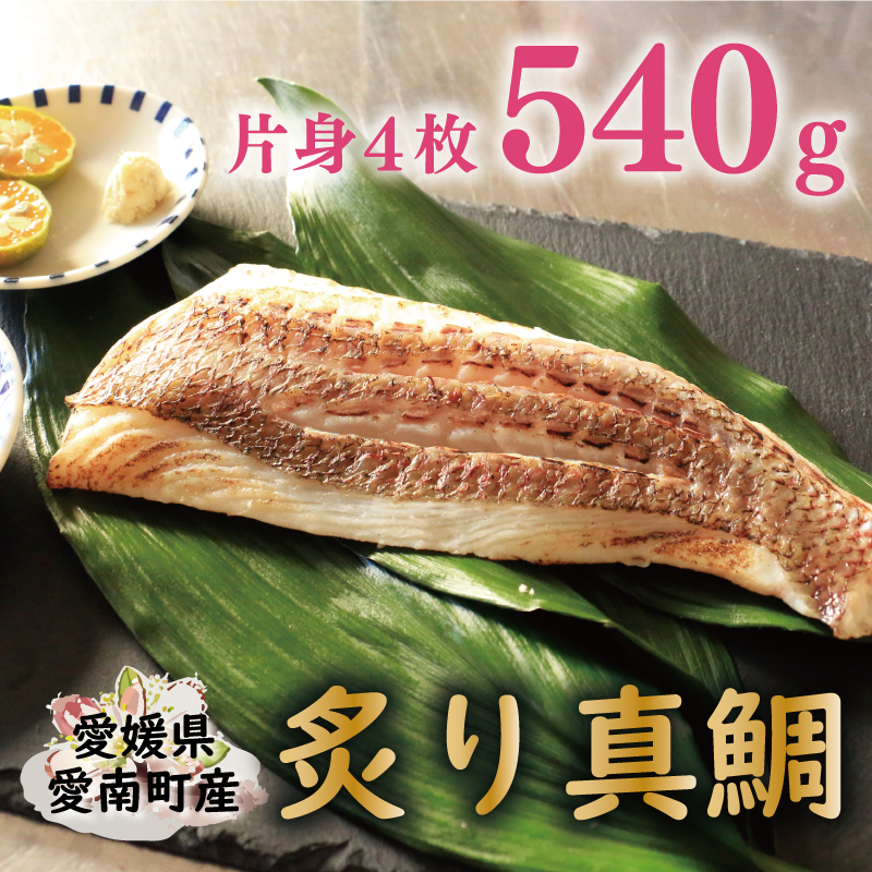【ふるさと納税】 炙り 真鯛 切り身 4柵 合計 540g （ 270g ×2 パック ） 朝〆 まだい 鯛 愛南町 新鮮 冷凍 愛媛県 神経締め 皮引き 三枚おろし 国産 魚介 特産品 魚介類 海産物 産地直送 海鮮 ブランド 刺身 海鮮丼 塩焼き 煮付け 酒蒸し カルパッチョ  鯛しゃぶ 鯛めし