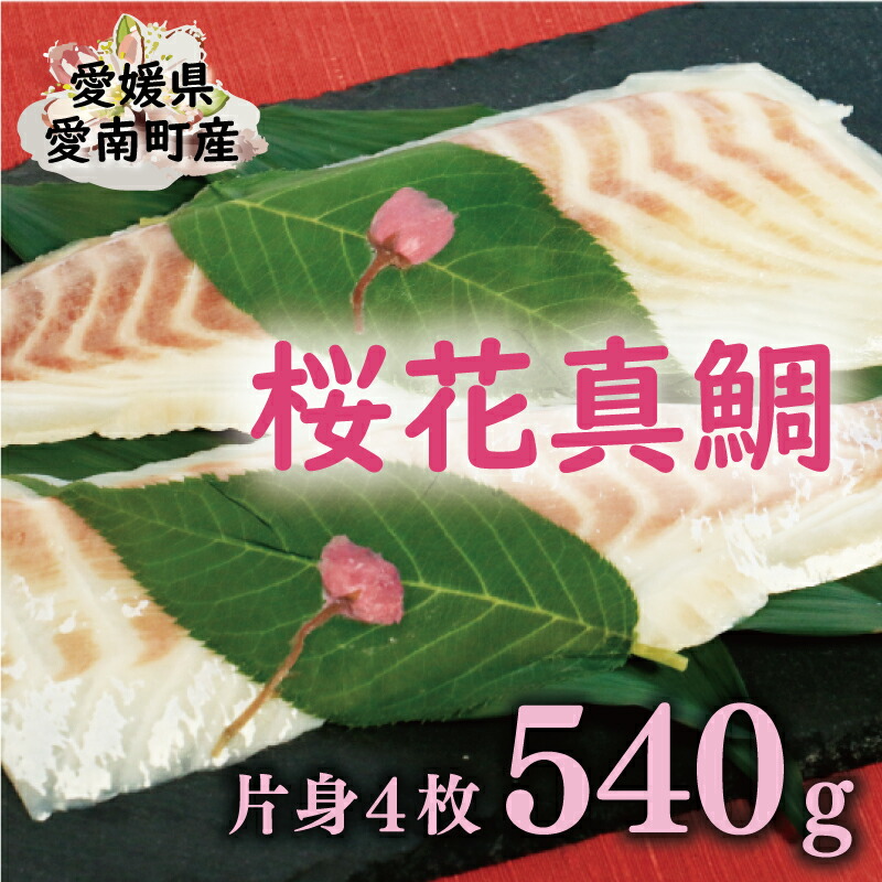 【ふるさと納税】 桜花 真鯛 切り身 4柵 合計 540g （ 270g ×2 パック ） 朝〆 まだい 鯛 愛南町 新鮮 冷凍 愛媛県 神経締め 皮引き 三枚おろし 国産 魚介 特産品 魚介類 海鮮 ブランド 刺身 海鮮丼 塩焼き 煮付け 酒蒸し カルパッチョ  鯛しゃぶ 鯛めし 愛南サンフィッシュ