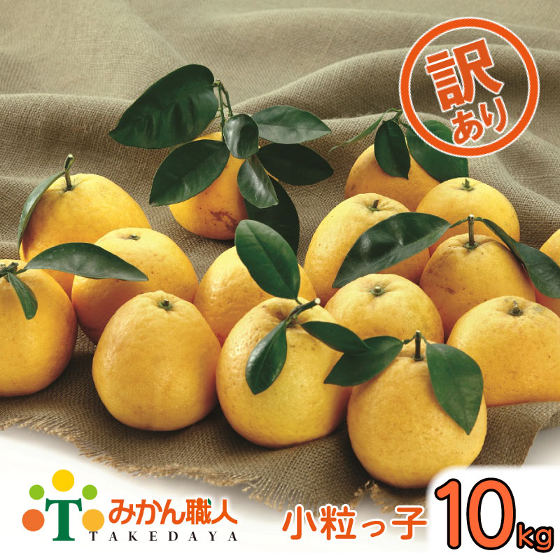 楽天市場】【ふるさと納税】 訳あり 河内晩柑 小粒っ子 10kg 小玉 柑橘