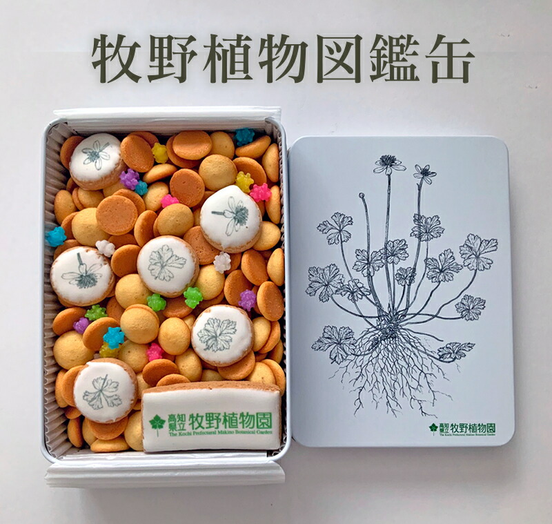 楽天市場】【ふるさと納税】【期間限定品】牧野植物図鑑缶