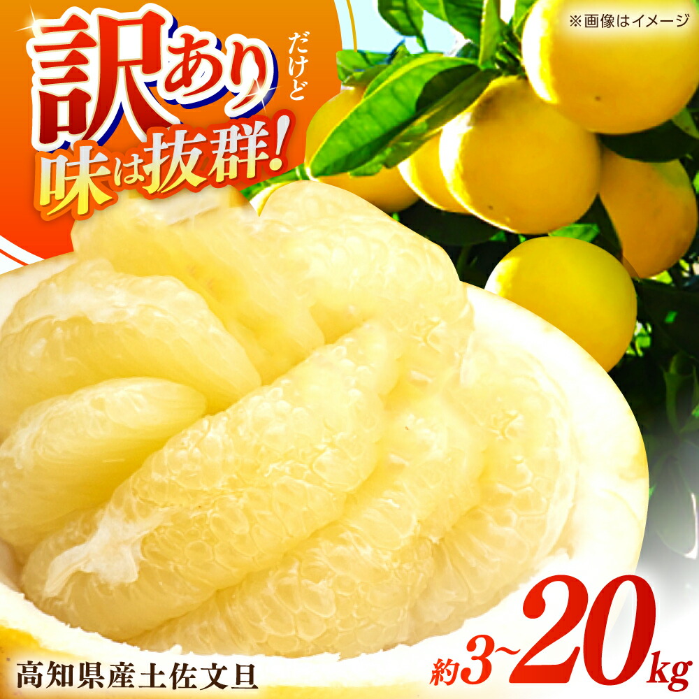 文旦　20kg 18 楽天市場】高知県産 土佐文旦 中玉 小玉 お得用 約10kg 文旦