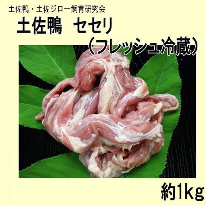 【ふるさと納税】土佐鴨 セセリ (フレッシュ冷蔵) 約1kg 土佐鴨 土佐ジロー飼育研究会 【グレイジア株式会社】[ATAC588]