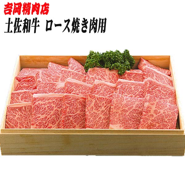 【ふるさと納税】土佐和牛ロース (焼肉) 約500g 【グレイジア株式会社】[ATAC022]｜高知県高知市