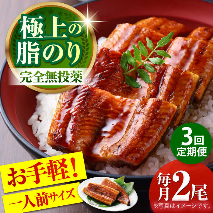 【ふるさと納税】【3回定期便】高知県産 うなぎ蒲焼き 約90g×2尾 タレ付き 【株式会社 四国健商】[ATAF146]